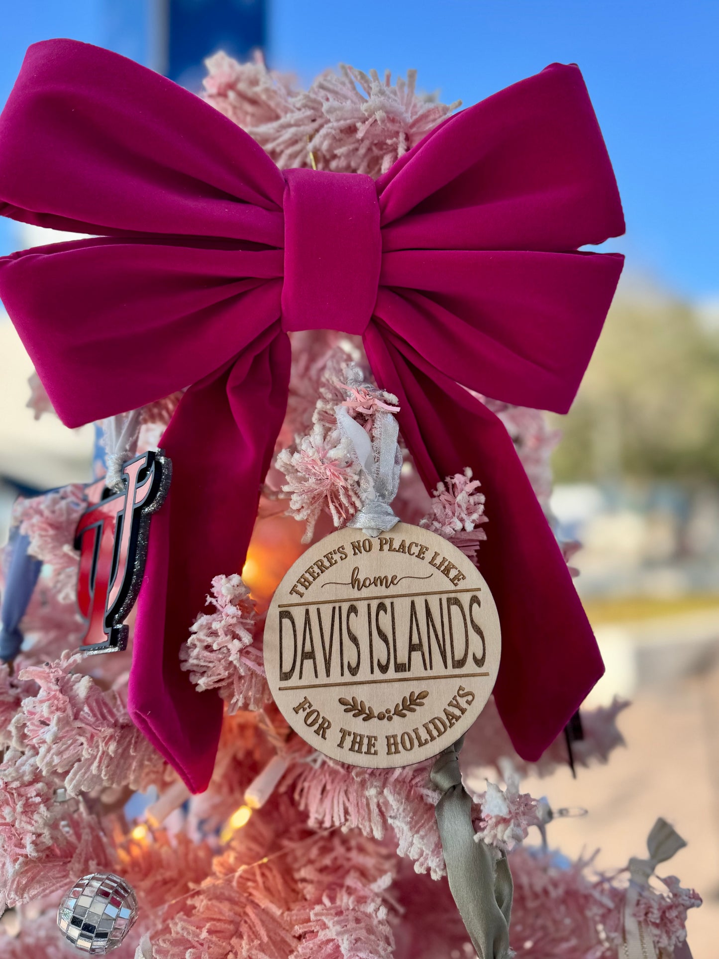 No Place Like Tampa Ornament