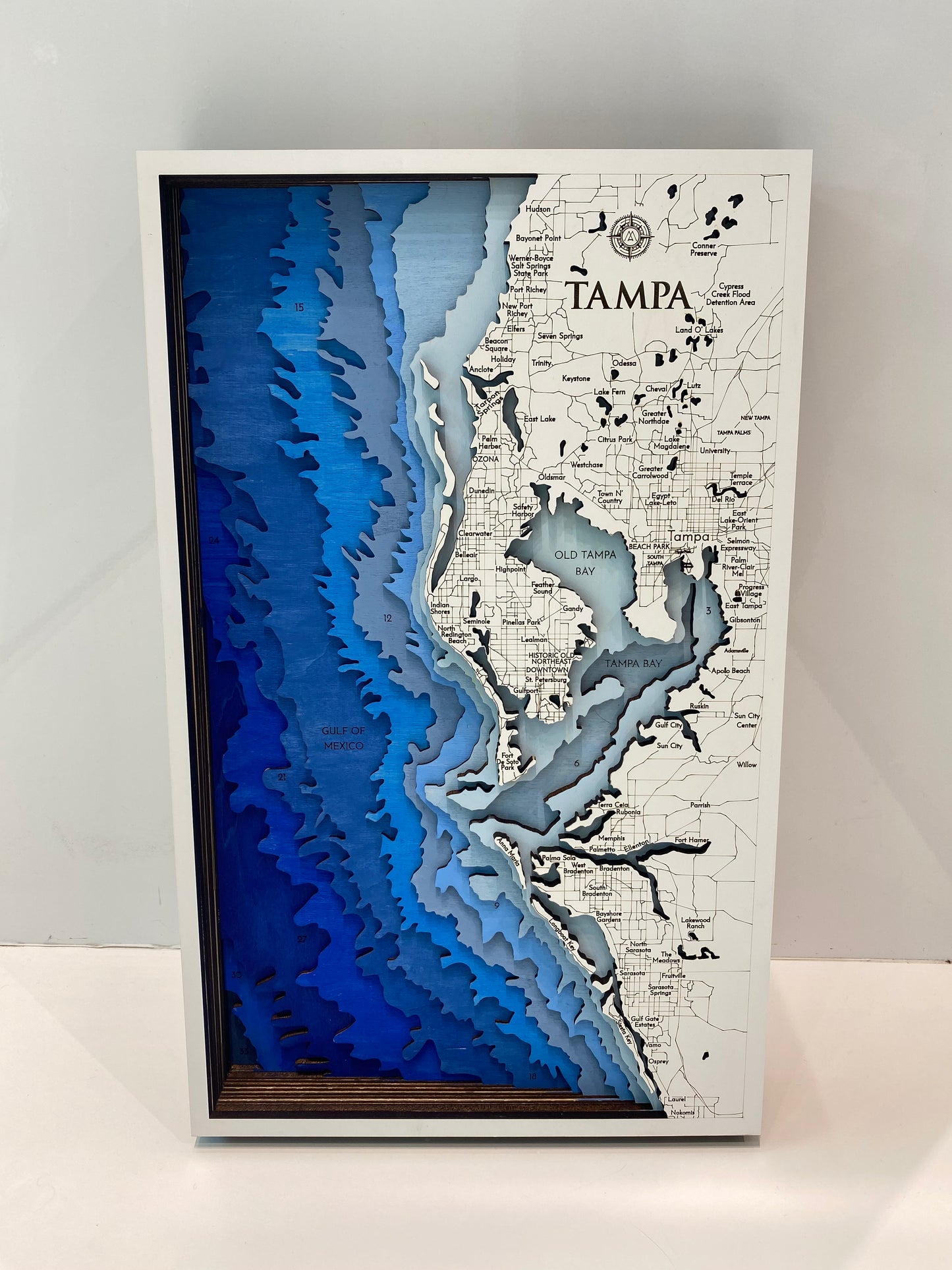 Tampa Layered Map
