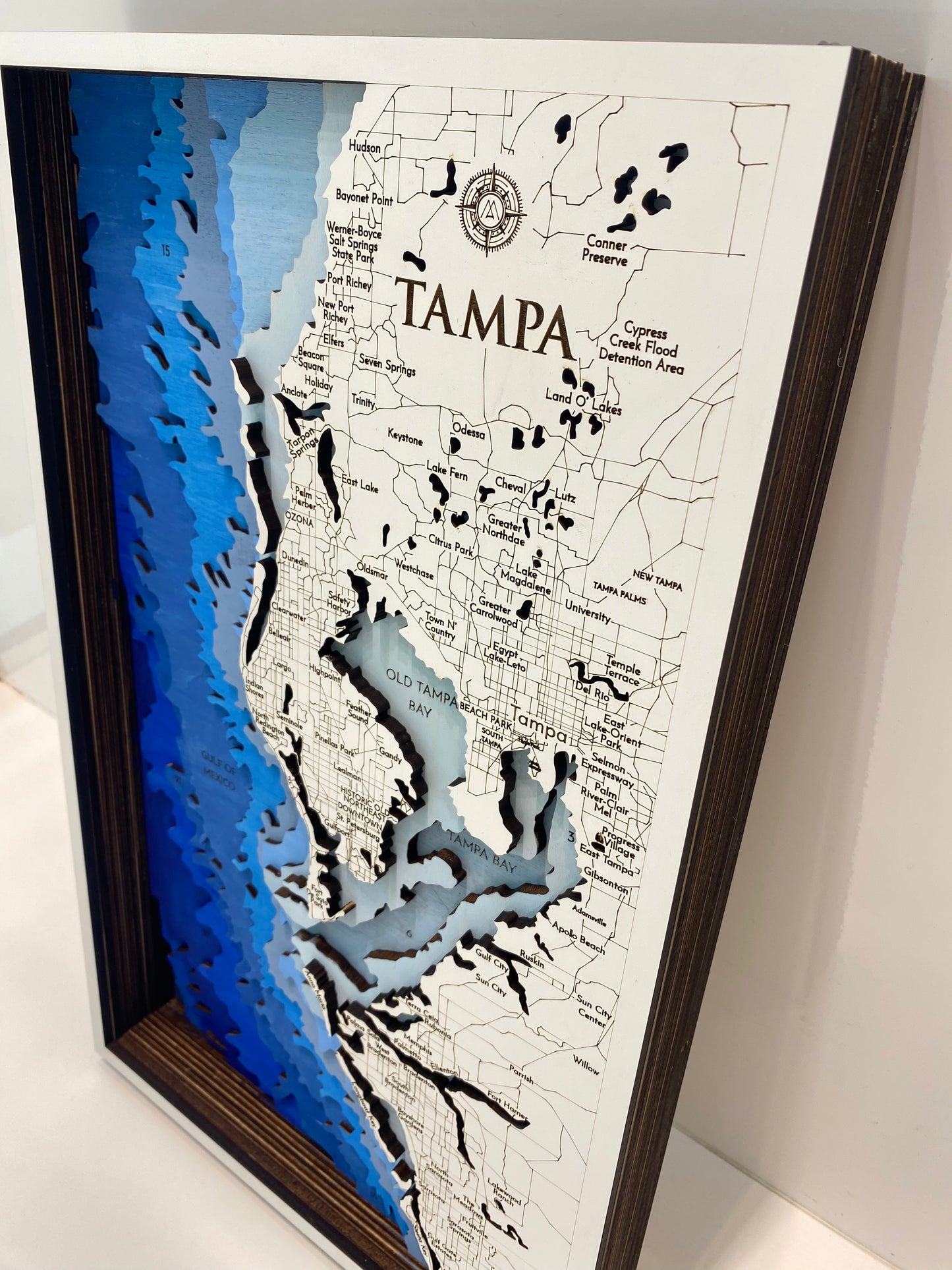 Tampa Layered Map